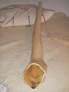 Didgeridoo